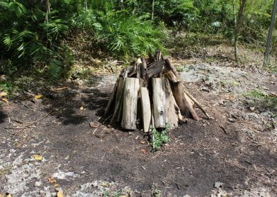 In the middle of a clearing with a dirt floor sits a sizable pile of dried wood in Lidia's Padre Nuestro section of the Coast Forest