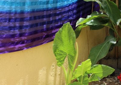 A rainbow-colored tapestry covers a portion of a yellow wall, while some small plants with big, pointed leaves shaped like spades grow in dirt next to a cement path in Abbebe's urban garden