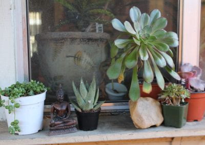 Five different kinds of succulent plants grow in separate small containers on an outdoor windowsill, alongside a small meditating figurine.